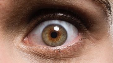 New Study Reveals The Inner Thoughts of People Mysteriously Frozen by Catatonia
