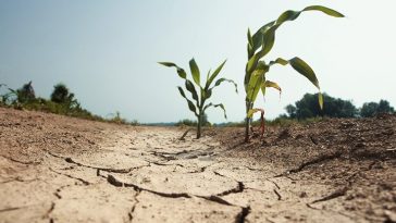 A Recurring Weather Phenomenon Drives Nearly 6 Million Children Into Severe Hunger