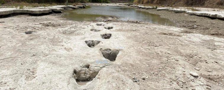 Dinosaur Footprints Revealed in Texas Are Among The Longest Trails Ever Found : ScienceAlert