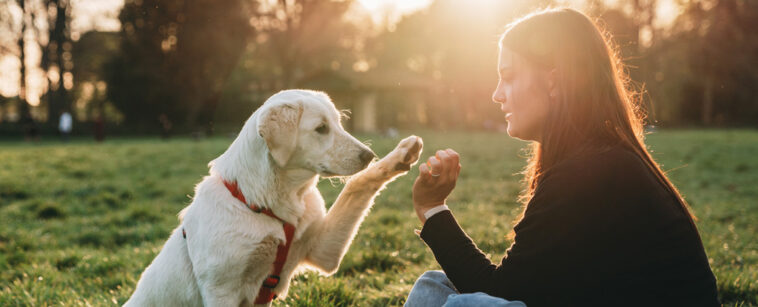 This Specific 'Pet Parenting Style' Seems to Make Dogs More Secure And Resilient : ScienceAlert This Specific 'Pet Parenting Style' Seems to Make Dogs More Secure And Resilient : ScienceAlert