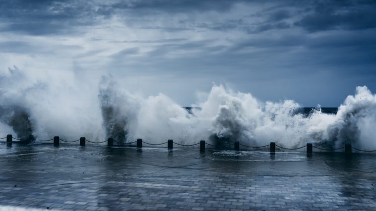 Climate Attribution Report: Oil Companies' Fear Climate Attribution Report: Oil Companies' Fear