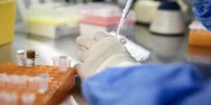 Supercharging Immune Cells: Key to Long-Term HIV Control