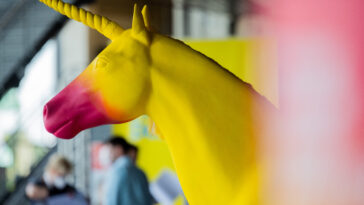 Still Looking for a Unicorn Exit? Just Follow These Ten Easy Steps!