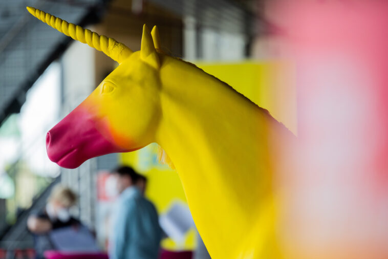 Still Looking for a Unicorn Exit? Just Follow These Ten Easy Steps!