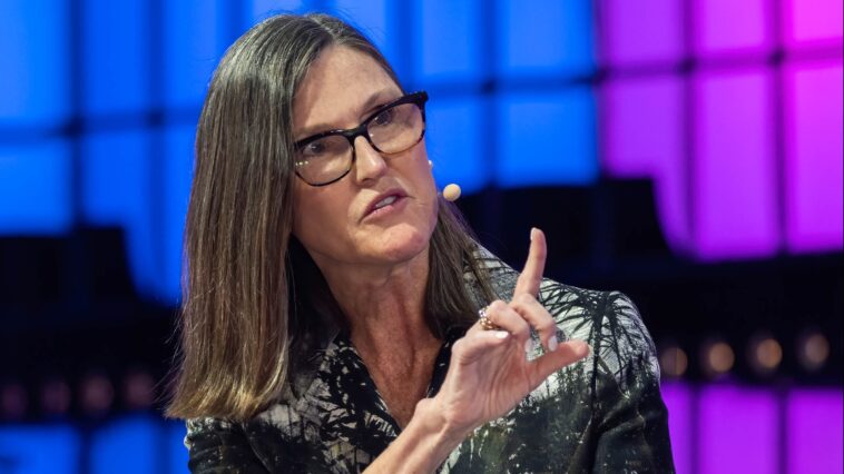 Cathie Wood Is Doubling Down On Volatile Tech Stocks as Her Ark Funds Rebound