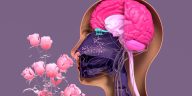 Anosmia: When You Lose Your Sense of Smell