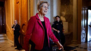 Elizabeth Warren Calls for Crackdown on Crypto’s Role in Child Sexual Abuse