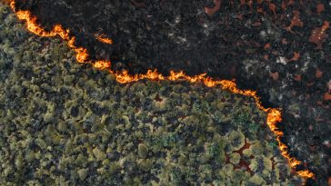 Senators Demand Crackdown on Wildfire Prediction Markets