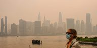 Wildfire Smoke: New #1 Prenatal Air Pollution Threat (50 characters)