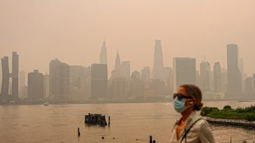 Wildfire Smoke: New #1 Prenatal Air Pollution Threat (50 characters)