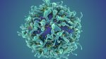 Cancer Breakthrough: Autoimmune Disease Transformed