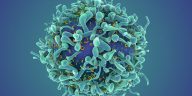 Cancer Breakthrough: Autoimmune Disease Transformed