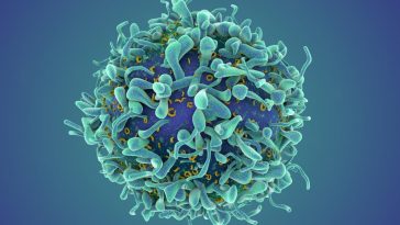 Cancer Breakthrough: Autoimmune Disease Transformed