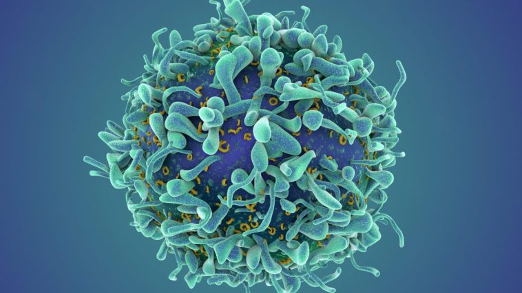 Cancer Breakthrough: Autoimmune Disease Transformed