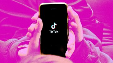 How to Download All of Your TikTok Videos