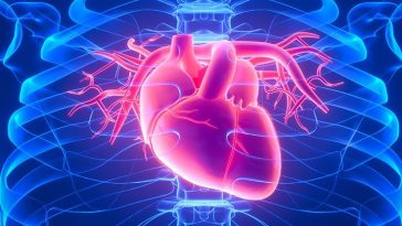 Study of Over 1 Million People Reveals Heart Attacks Can Reduce Parkinson's Risk