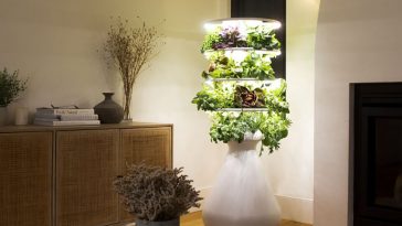 An urban vertical planter is an easy and affordable garden