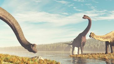 This Seemingly Simple Foot Feature May've Allowed Sauropods to Become Giants : ScienceAlert