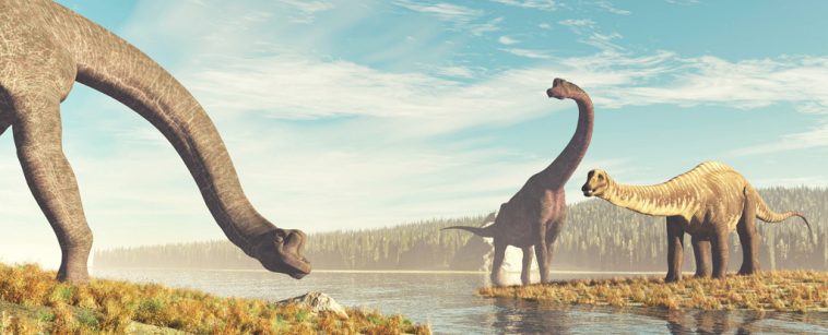 This Seemingly Simple Foot Feature May've Allowed Sauropods to Become Giants : ScienceAlert