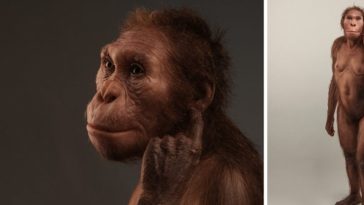 This Ancient Human Relative 'Walked Like a Human, But Climbed Like an Ape'