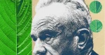 Kratom Civil War: MAHA Picks a Side