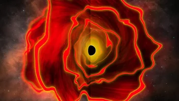 Black Hole Star Discovered: A Cosmic Revelation