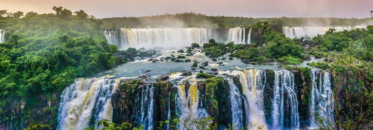 New study provides hope for restoring tropical forests