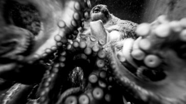 ‘Blindsight’ Is the Epitome of Science Fiction Horror