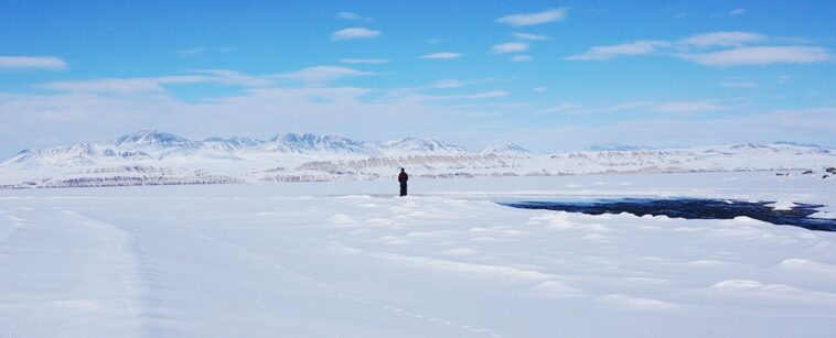 The Arctic Could Soon Unleash The Next Pandemic. Here's Why : ScienceAlert