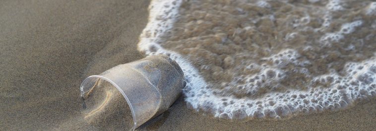 Scotland's plastic ban may fail due to UK's internal strife