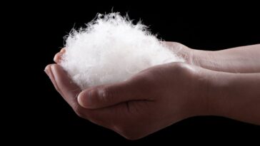 Shopping for Goose Down? Here’s What to Know About ‘Down Fill Power’