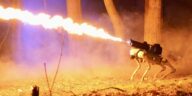 Somehow This $10,000 Flame-Thrower Robot Dog Is Completely Legal in 48 States