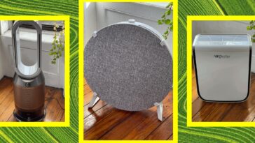 Breathe Easy—We Found the Best Air Purifiers