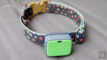 Whistle pet trackers are shutting down next month