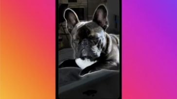 Instagram's latest test feature turns users' photos into stickers for Reels and Stories