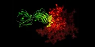 Never Get Cancer? Blood Holds the Key!