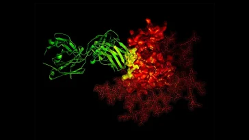 Never Get Cancer? Blood Holds the Key!