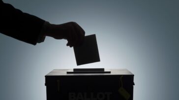 Inside Elon Musk’s First Election Crisis—a Day After He ‘Freed’ the Bird