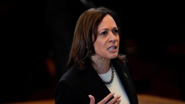 Vice President Harris tells tech CEOs they have a moral responsibility to safeguard AI | Engadget