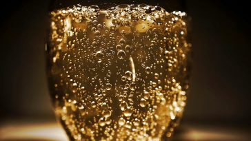 Leonardo DiCaprio invests in sustainable Champagne Telmont