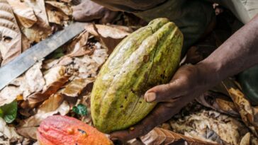 The World’s Broken Food System Costs $12.7 Trillion a Year