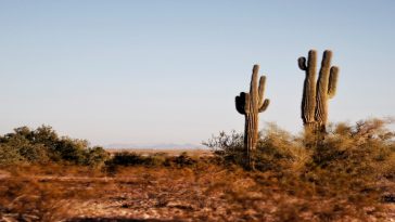 New technology harnesses atmospheric water in deserts