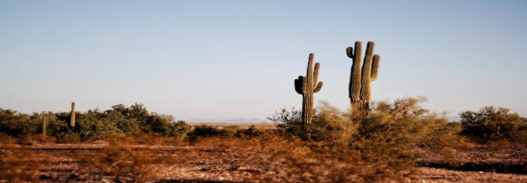 New technology harnesses atmospheric water in deserts