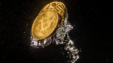 Bitcoin Wipes Out 2021 Gains—Experts Weigh in on Where It’s Headed