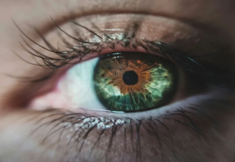 Dry Eye Relief: Photosynthetic Drops & Sunlight Power Dry Eye Relief: Photosynthetic Drops & Sunlight Power