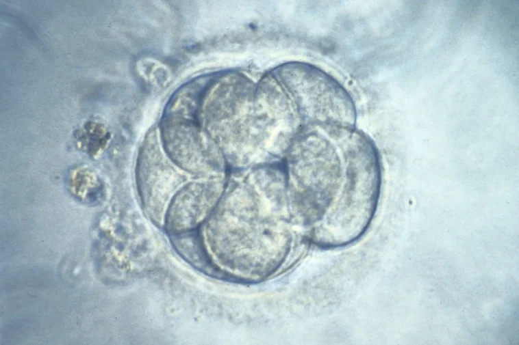Precise Gene Editing in Embryos: 'Designer Baby' Debate