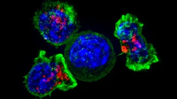 CAR T: Blood Cancer Breakthrough to Solid Tumors