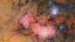 Cosmic Movie Sky Survey, Cyborg Cockroaches & More