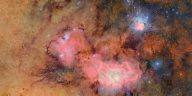 Cosmic Movie Sky Survey, Cyborg Cockroaches & More