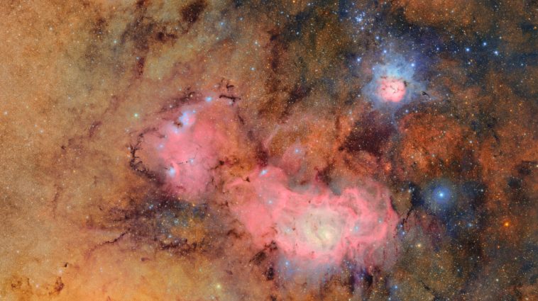 Cosmic Movie Sky Survey, Cyborg Cockroaches & More Cosmic Movie Sky Survey, Cyborg Cockroaches & More